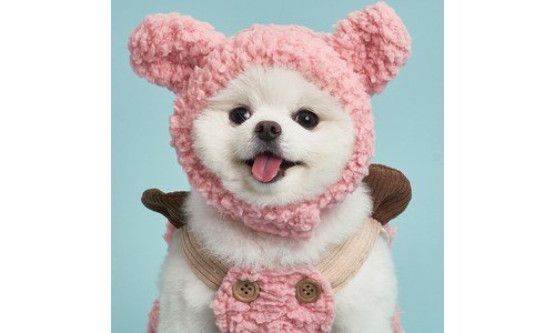 강아지겨울모자 최고의 필수보유득템 선택노하우