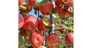 수안보온천 가성비 내 시간을 아껴주는 상품 TOP8