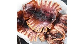 반건조오징어 어머! 이건 사야해! 방송인기상품 적극추천