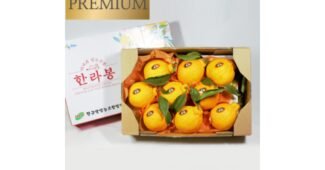 황금향10kg 나만 보고 싶은 이번주 추천상품 BEST8