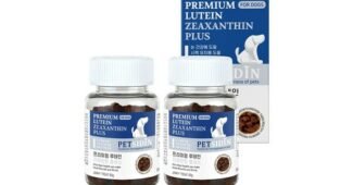 강아지눈영양제 합리적인 당신을 위한 내돈내산 구매포인트