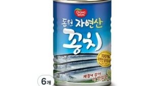 꽁치통조림 추천 최강 우쭈쭈! 우쭈쭈!