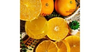 천혜향 망설일수록 나만 손해인 보물같은 상품 TOP8