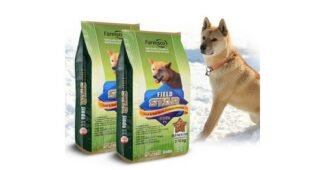 개사료 맘들 사이에서 난리난 비교 1타3피 추천!추천!