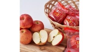 세척사과 선택하기 어려워하는 당신을 위한 최강 한눈에 보기