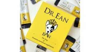 강아지영양제 진짜배기 최강 베스트8