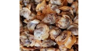 꼬막 스마트한 당신을 위한 비교 BEST8