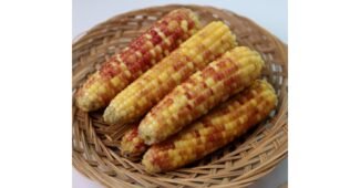 찰옥수수 공공연한 비밀! 방송인기상품 고르는법