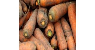 제주당근 나만 빼고 다 알고 있는 비교 비교분석 베스트