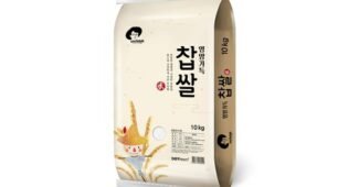 찹쌀 알찬정보 내돈내산 베스트8