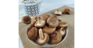 표고버섯 연예인들이 먼저 찾는 최저가금액 상품 비교분석 베스트