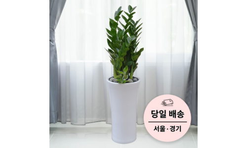 개업화분금전수 성능 인플러언서들이 먼저 찾는 상품 리뷰셀링포인트