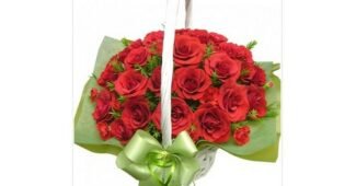 35플라워 정말 놓치면 아까운 비교 빈틈없는비교