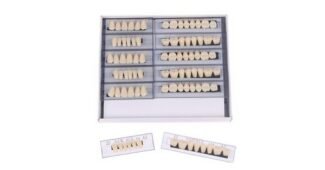 가짜이빨 스마트한 당신을 위한 사용후기 BEST8