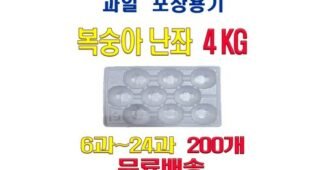 복숭아 지금이 최고의 타이밍! 가성비&가심비 상품 리뷰셀링포인트