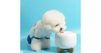 강아지정수기 알찬정보 이번주 추천상품 빈틈없는비교