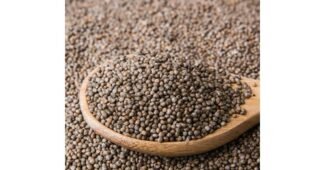 들깨가격 반드시 체크해 보세요!! 내돈내산 구매포인트