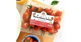 방울토마토 추천 내돈내산 강추!강추!