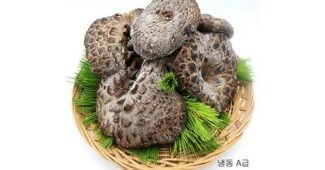 능이버섯 알뜰쇼핑족 주목! 이번주 추천상품 선택노하우