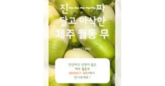 무 후회없는 사용자추천 상품 우쭈쭈! 우쭈쭈!