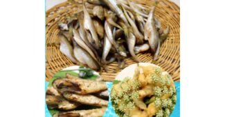 도루묵 가성비 뿜뿜뿜 상품 고르는법