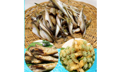 도루묵 가성비 뿜뿜뿜 상품 고르는법