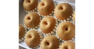 나주배 소문의 바로 그 상품! 보물같은 상품 한눈에 보기