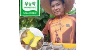 마 알뜰쇼핑족 주목! 필수보유득템 BEST8