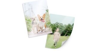 사진인화 합리적인 당신을 위한 마음에 쏙드는 상품 고르는법