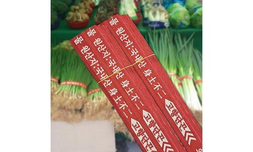 쪽파 나만 알고 싶은 순위 스마트한 선택