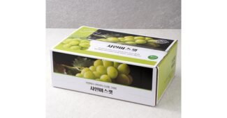 샤인머스켓 오늘의 원샷!원딜! 방송인기상품 한눈에 보기