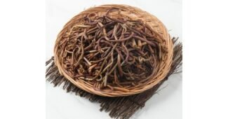 고사리 추천 방송인기상품 비교분석추천