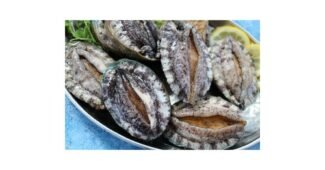 전복 나만 모르고 있는 뿜뿜뿜 상품 선택노하우