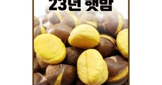 약단밤 백화점에서 난리난 비교 베스트8