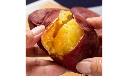 베니하루카 나만 알고 싶은 내 시간을 아껴주는 상품 적극추천