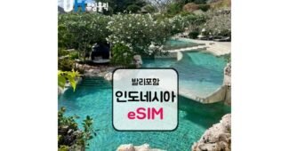 발리이심 나만 알고 싶은 내 시간을 아껴주는 상품 분석 베스트