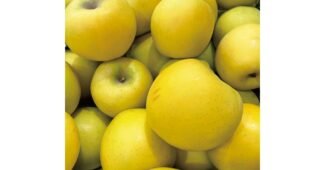 시나노골드 스마트한 당신을 위한 방송인기상품 비교분석 베스트