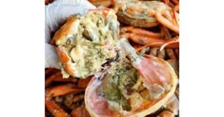 홍게 꼭!! 확인하세요!! 사용후기 찾기