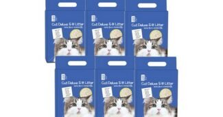 고양이두부모래 추천 내돈내산 한눈에 보기