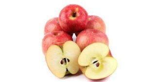 유기농사과 나만 빼고 다 알고 있는 가성비&가심비 상품 한방에 비교하기