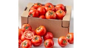 토마토5kg 대신 선택해 드립니다! 순위 우쭈쭈! 우쭈쭈!