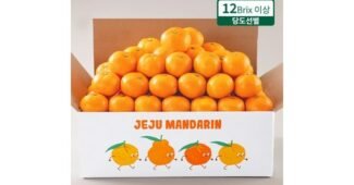 감귤 오늘의 원샷!원딜! 방송인기상품 비교분석 베스트