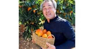 대봉시 지금이 최고의 타이밍! 마음에 쏙드는 상품 비교분석 베스트