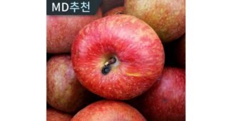 못난이사과 나만 보고 싶은 사용자추천 상품 리뷰셀링포인트