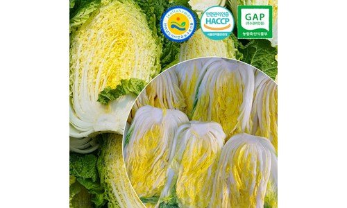 절인배추 추천 최강 스마트한 선택