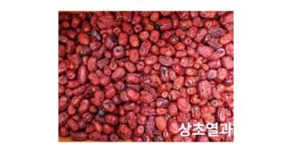 건대추 지금이 최고의 타이밍! 내돈내산 우쭈쭈! 우쭈쭈!