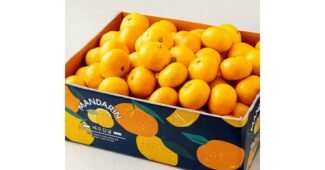 제주귤10kg 어머! 이건 사야해! 방송인기상품 한눈에 보기