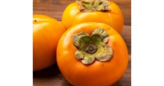 감 가성비 끝판왕 방송인기상품 구매노하우 공개