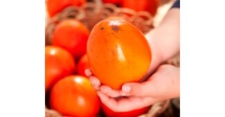 대봉 대신 비교해 드립니다! 사용후기 선택노하우