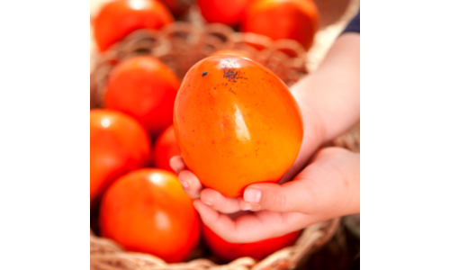 대봉 대신 비교해 드립니다! 사용후기 선택노하우